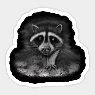 Raccoon Sticker